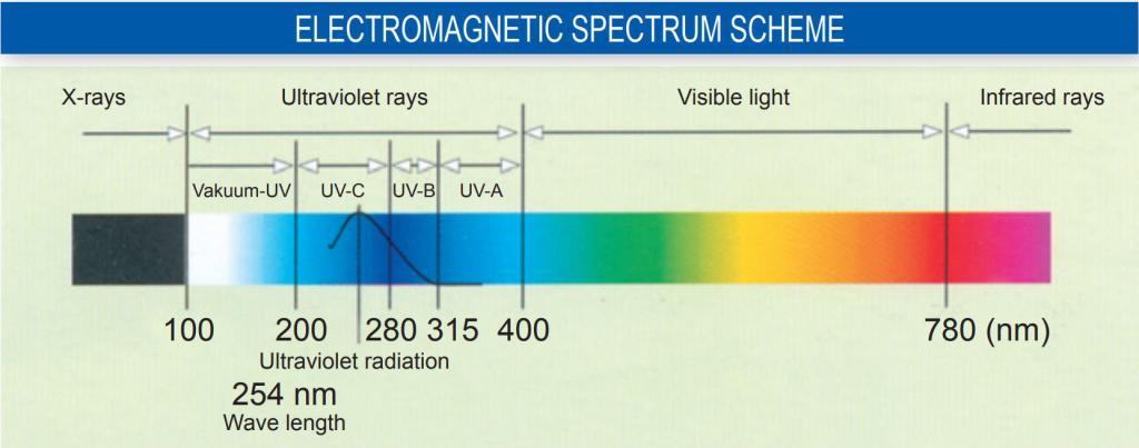 Graphic Showing UV effect on Emergency water filter virus sterilization